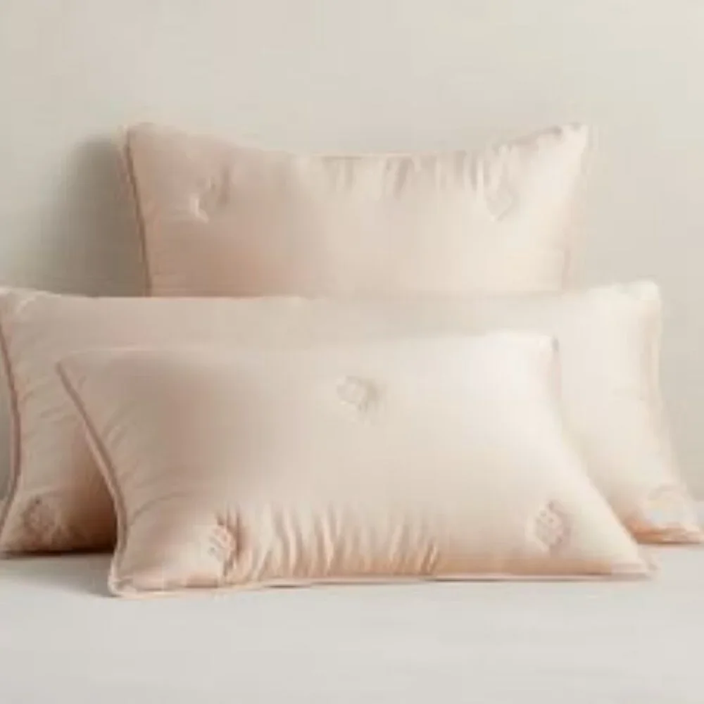 Pottery Barn Tencel Comforter Euro Pillow Sham Cover in Rosewater (Pink / Beige)